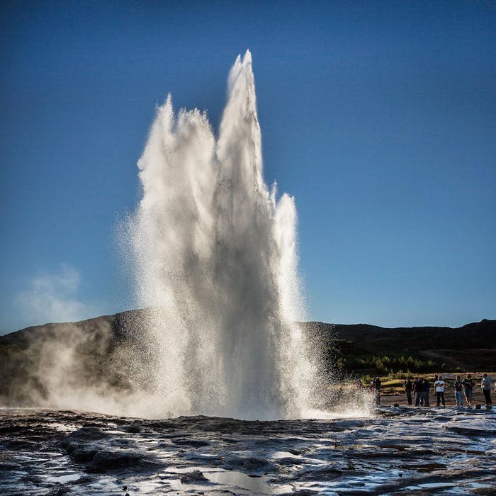 Whale Watching and Golden Circle