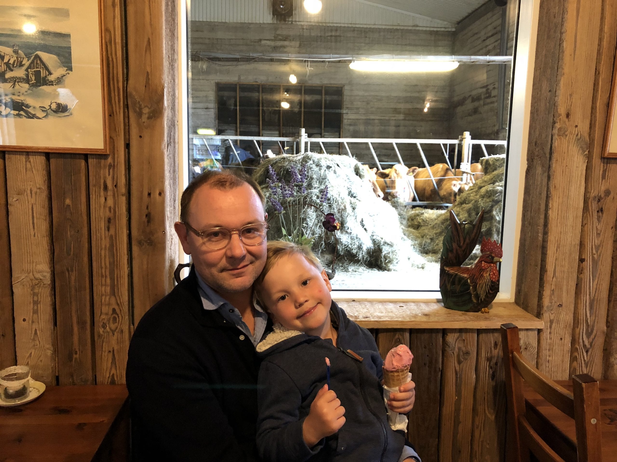 Golden Circle & Farm Visit Minibus Tour