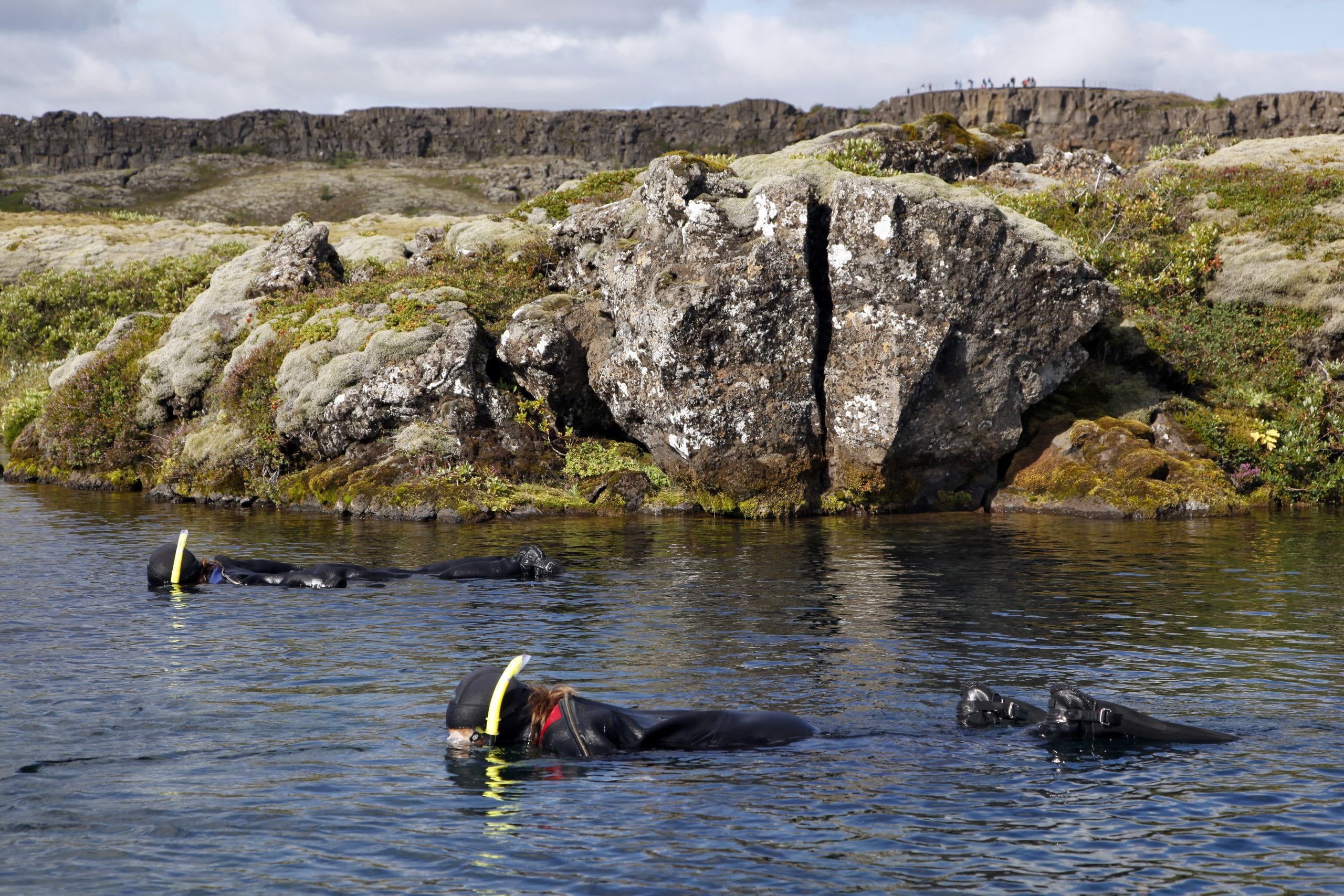 Best Snorkeling Silfra Tour with Pick Up Iceland
