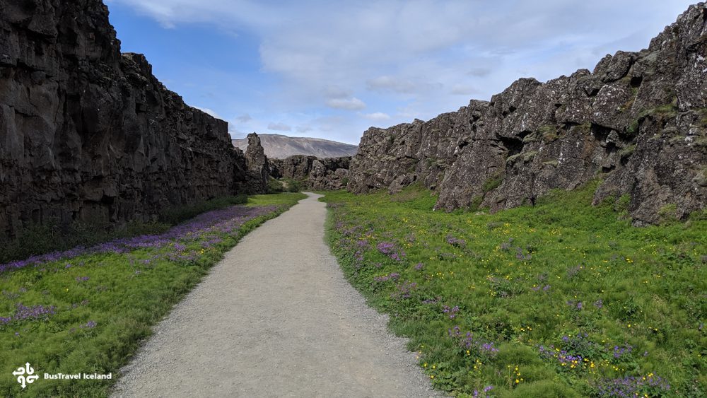 Iceland's Golden Circle & Secret Lagoon Tour